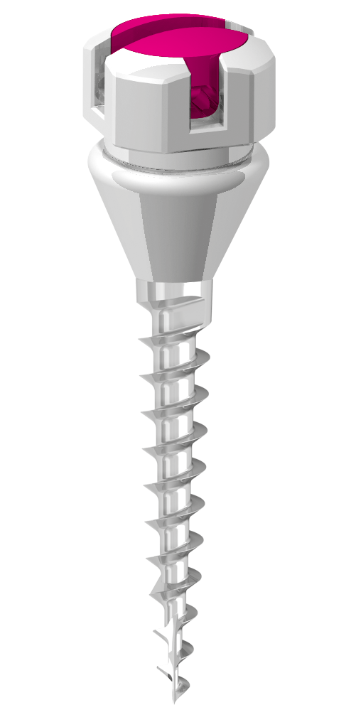 Spider SL K1 Schraube